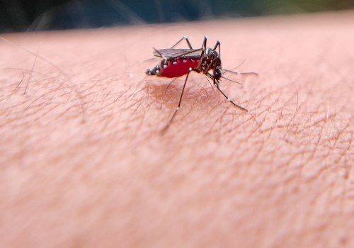 Enhance Comfort with AC Maintenance & Mosquito Control