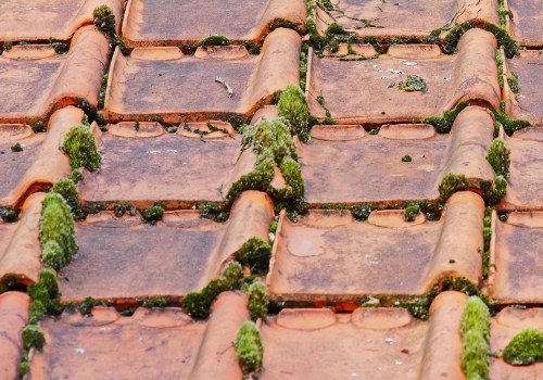 Improve Home Comfort With Roofing in Sterling Heights Beyond AC Maintenance and Service